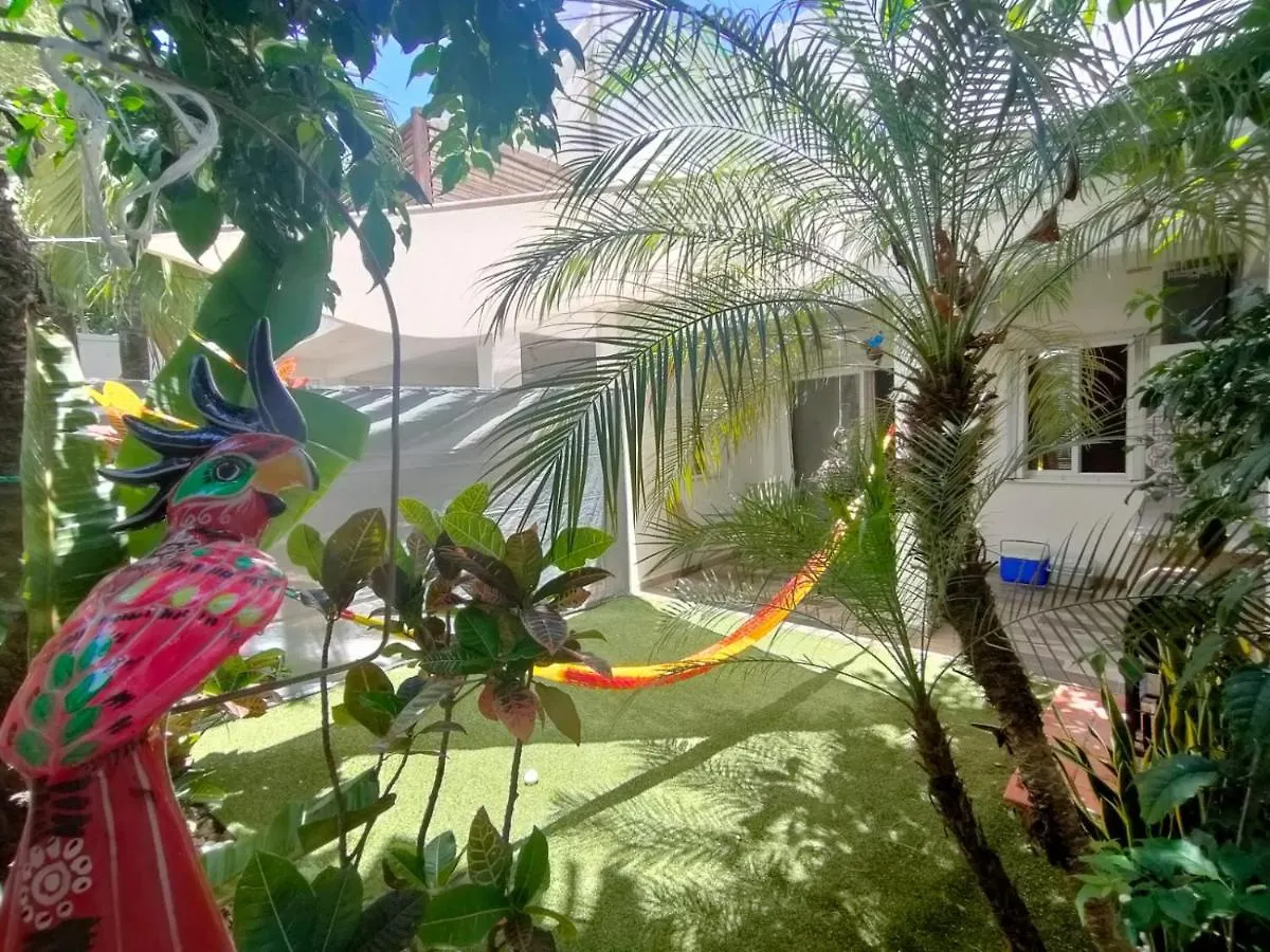 Willa La Casa Del Mexicano Terraza Y Jardin Exoticos 12 Min Del Playa Esmeralda Playa del Carmen