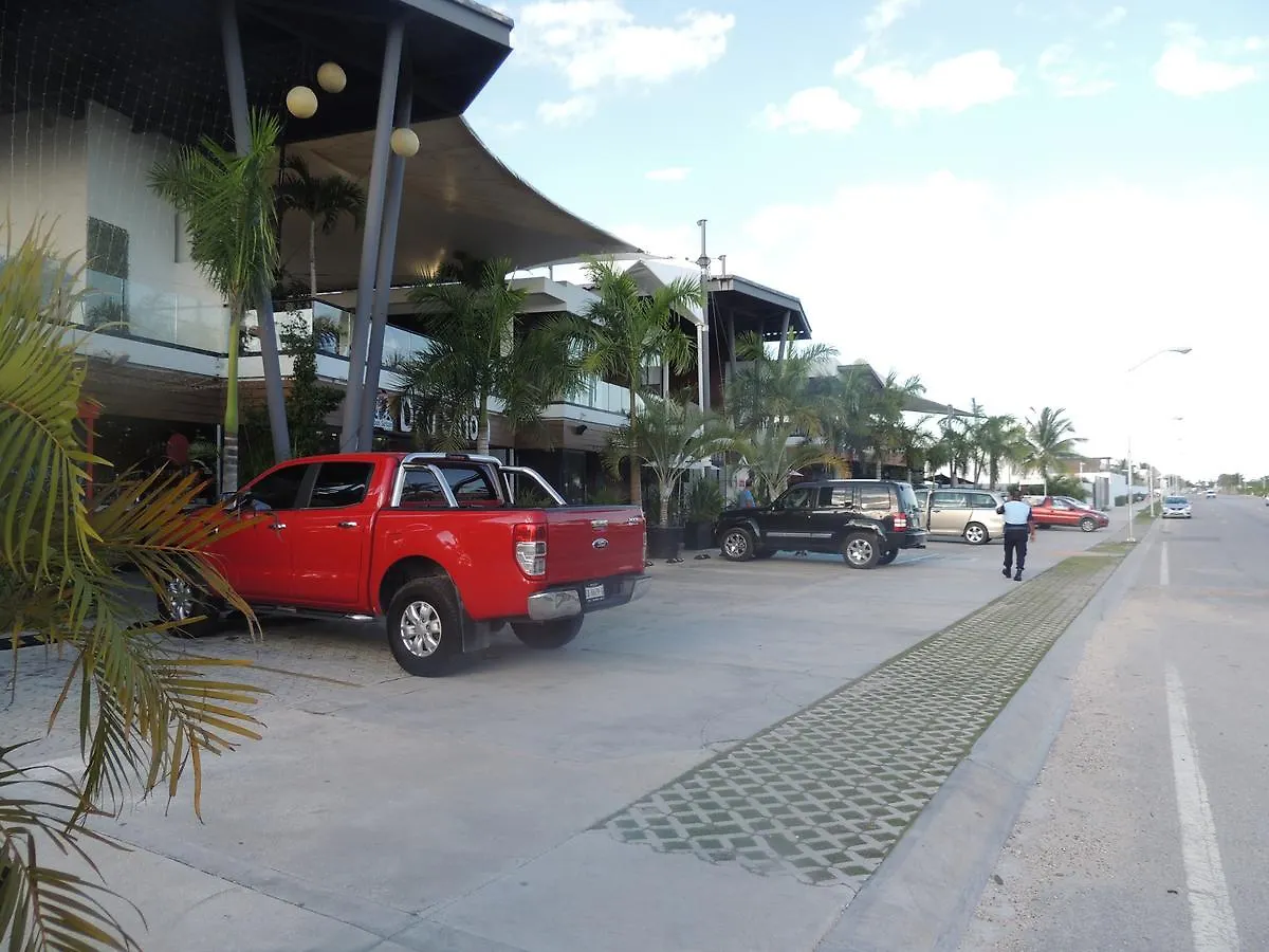 Willa La Casa Del Mexicano Terraza Y Jardin Exoticos 12 Min Del Playa Esmeralda Playa del Carmen