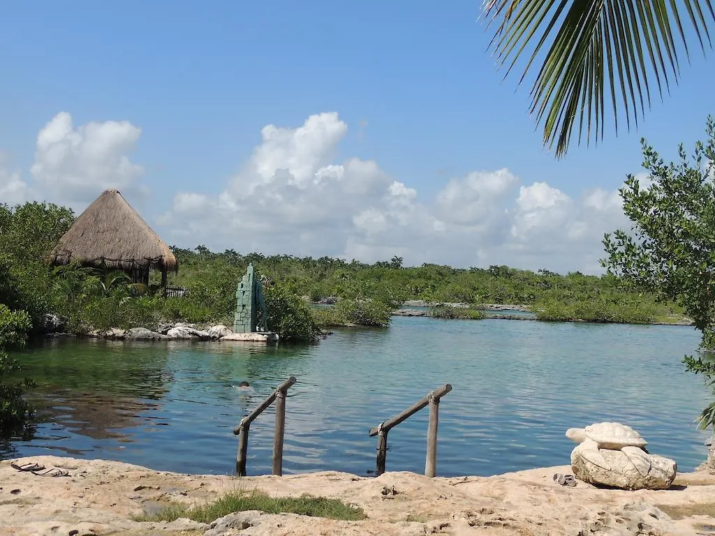 La Casa del Mexicano terraza y jardin exoticos 12 min del playa Esmeralda Villa Playa del Carmen Сasa de vacaciones