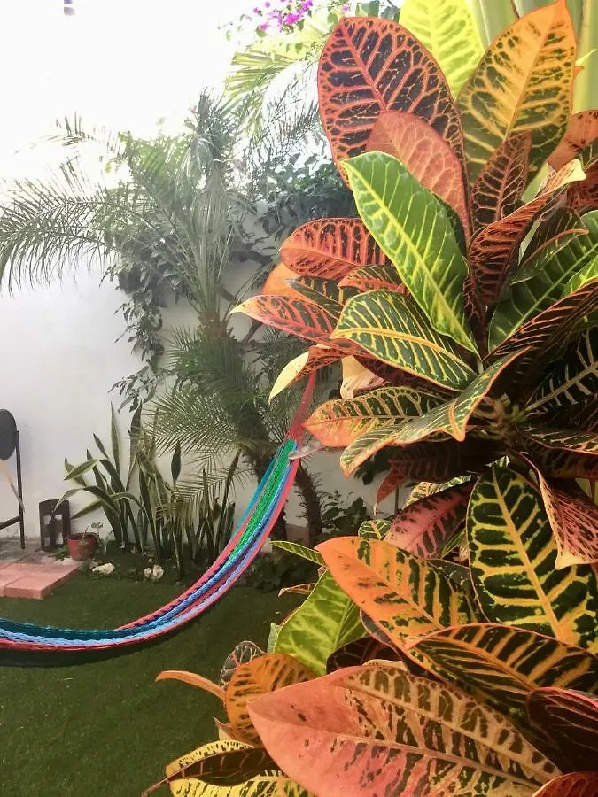 La Casa del Mexicano terraza y jardin exoticos 12 min del playa Esmeralda Villa Playa del Carmen Сasa de vacaciones